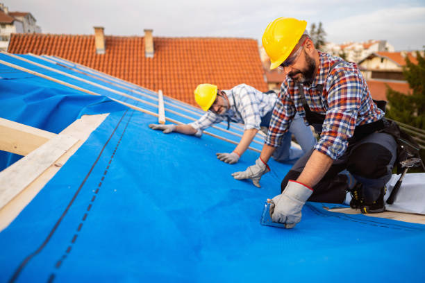 Best Roof Gutter Cleaning  in Roosevelt Gardens, FL