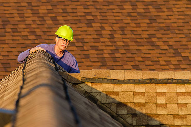 Best Roof Gutter Cleaning  in Roosevelt Gardens, FL